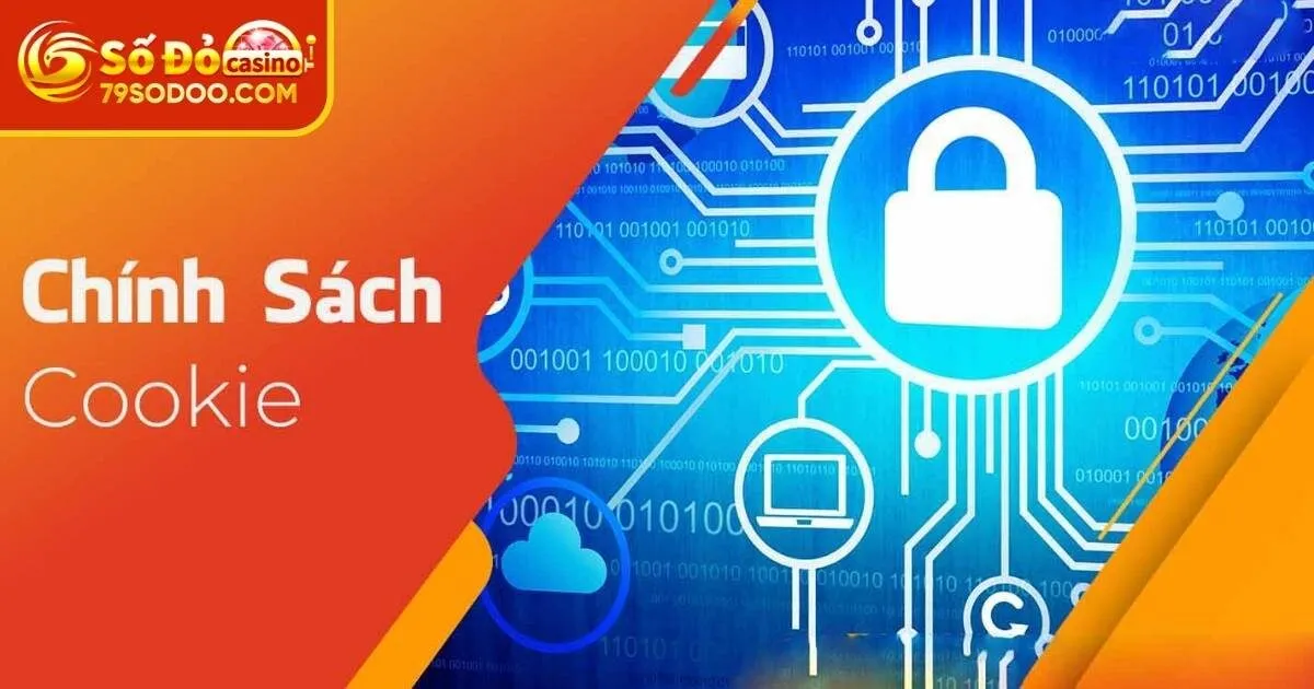 Đôi nét về chính sách Cookie 79Sodo
