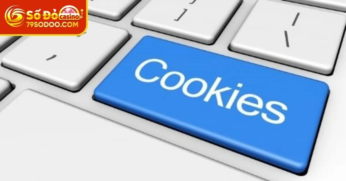 Một số các nội dung trong chính sách Cookie 79Sodo