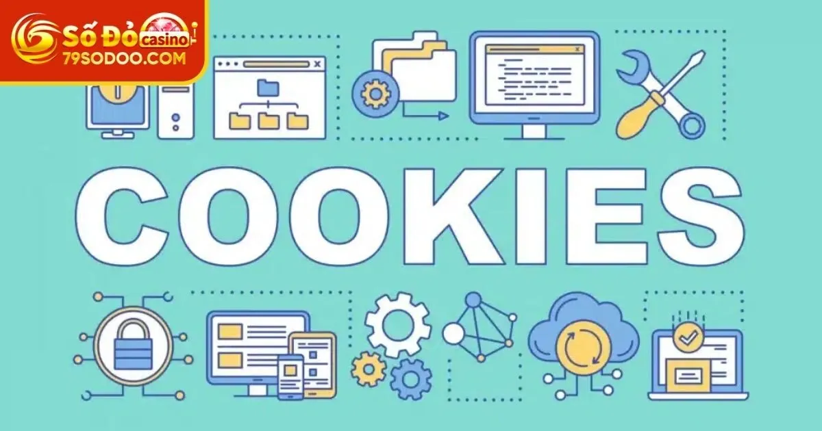 4 loại Cookie thường thấy tại 79Sodo